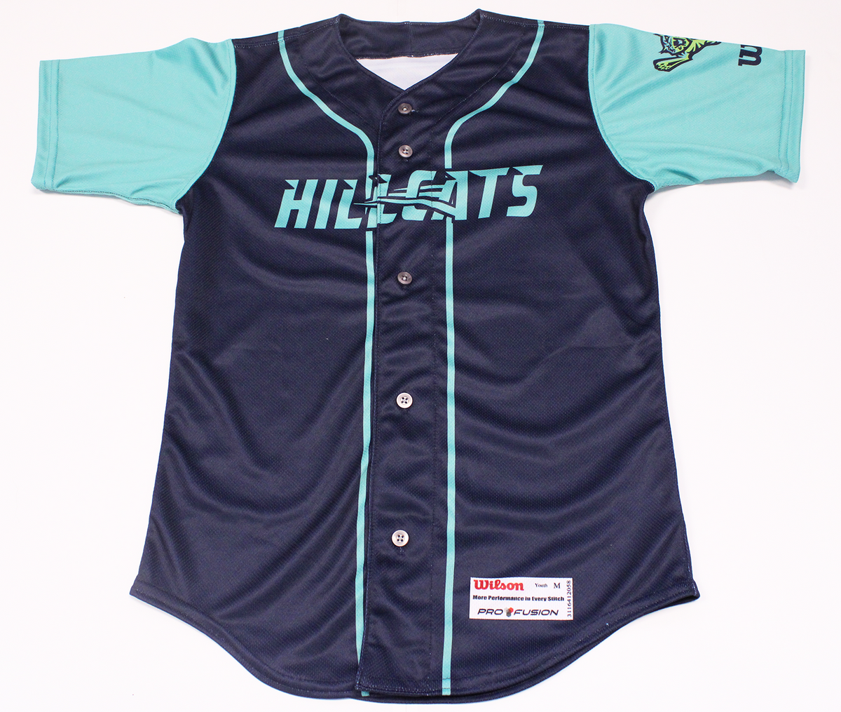 Youth Blue/Teal Jersey Lynchburg Hillcats Official Store